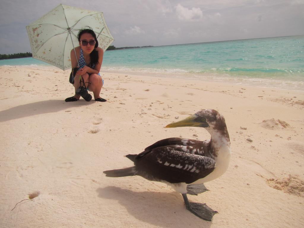 Rasdhoo Coralville Ngoại thất bức ảnh