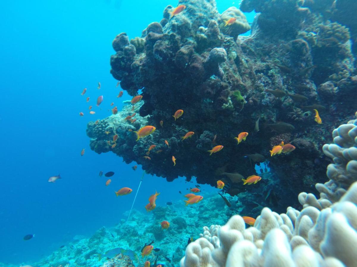 Rasdhoo Coralville Ngoại thất bức ảnh